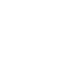 Icono Instagram
