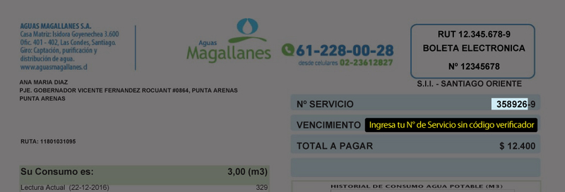 AguasMagallanes_ayuda_510