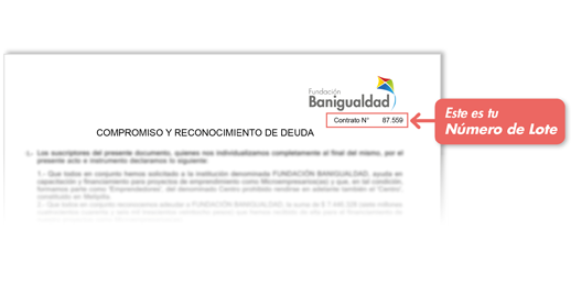 N°delote(1)